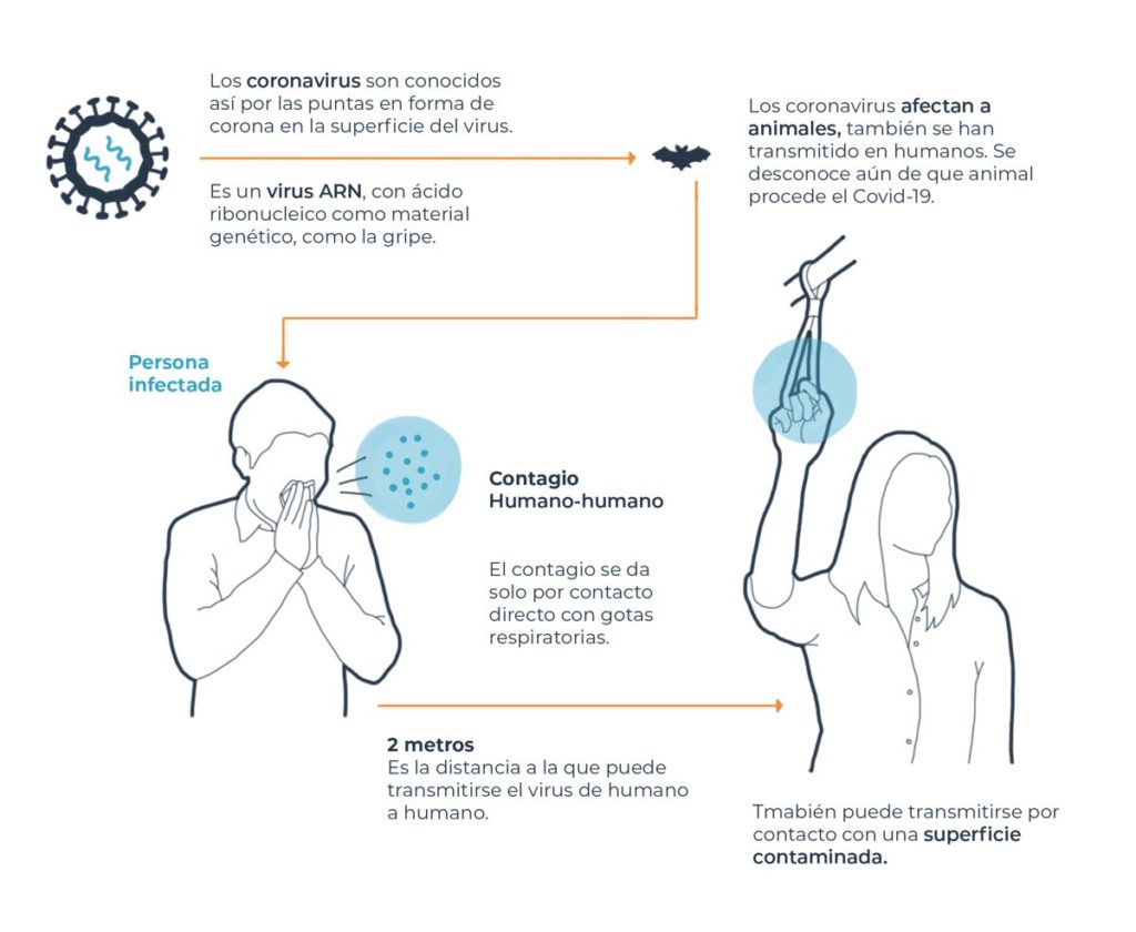 Qué es el virus y como se contagia